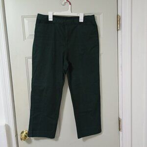 Calvin Klein Jeans Green Power Stretch Skinny Crop Slim Fit Pants Size 10